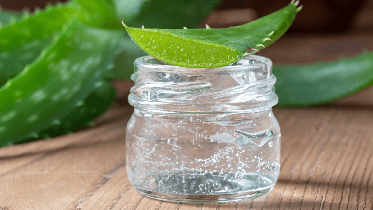 Unabhängiger Distributor von Forever Living Products: Die Kraft von Aloe Vera Ever Shield
