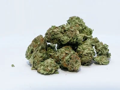 Egal ob Anfänger oder Experte – Cannabis Samen bestellen für jedes Level