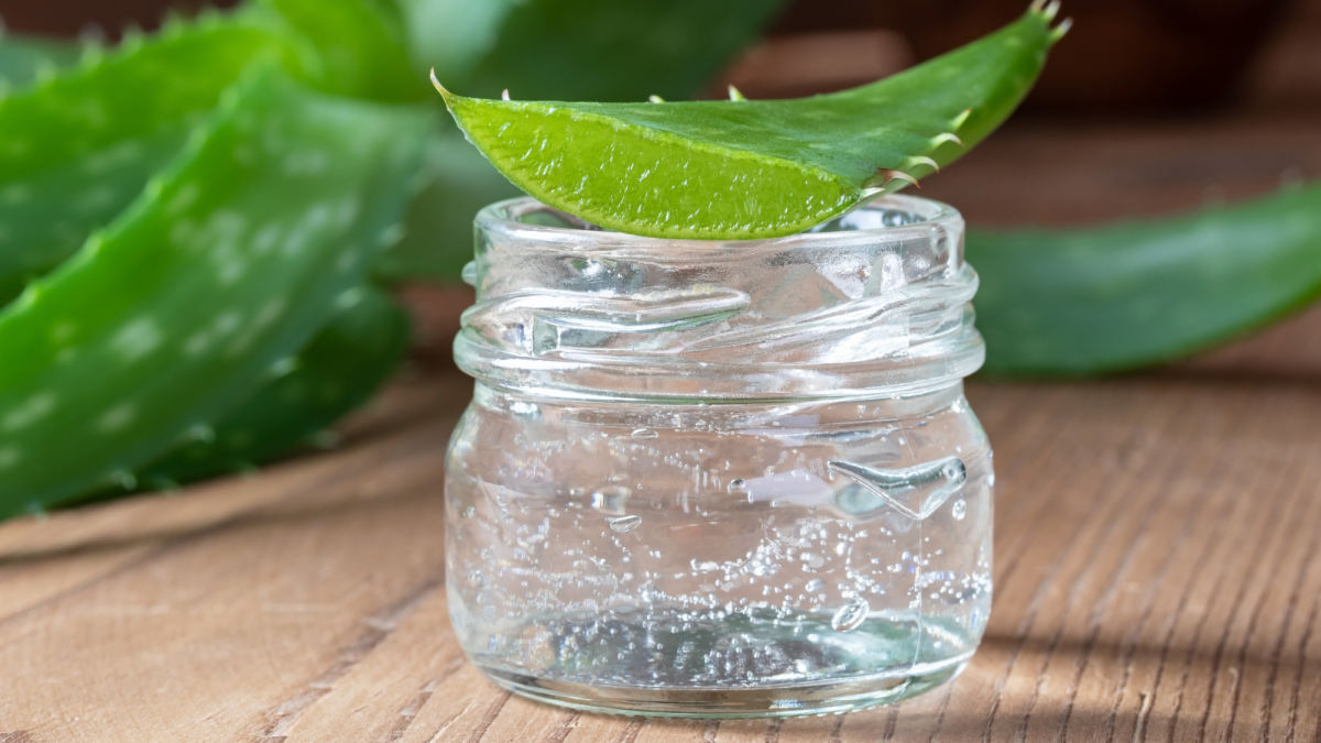 Unabhängiger Distributor von Forever Living Products: Die Kraft von Aloe Vera Ever Shield